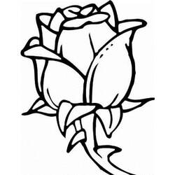 Coloring page: Flowers (Nature) #155204 - Printable coloring pages