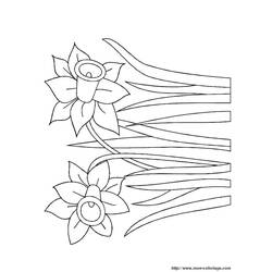 Coloring page: Flowers (Nature) #155217 - Free Printable Coloring Pages