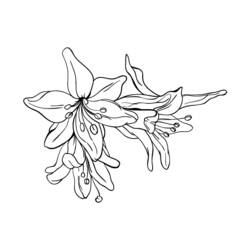 Coloring page: Flowers (Nature) #155238 - Free Printable Coloring Pages