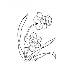 Coloring page: Flowers (Nature) #155250 - Printable coloring pages