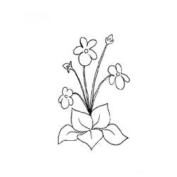 Coloring page: Flowers (Nature) #155252 - Free Printable Coloring Pages