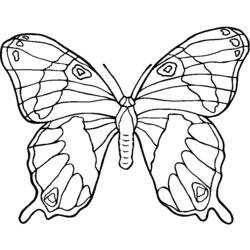 Coloring page: Flowers (Nature) #155255 - Free Printable Coloring Pages