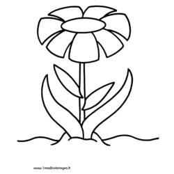 Coloring page: Flowers (Nature) #155264 - Free Printable Coloring Pages