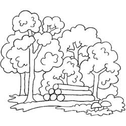 Coloring page: Forest (Nature) #157001 - Free Printable Coloring Pages