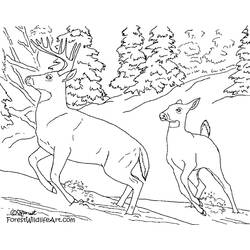 Coloring page: Forest (Nature) #157042 - Free Printable Coloring Pages