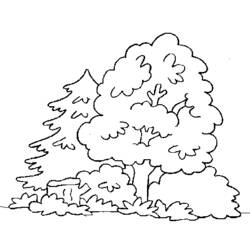 Coloring page: Forest (Nature) #157044 - Free Printable Coloring Pages