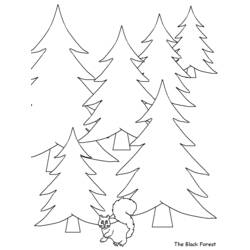 Coloring page: Forest (Nature) #157054 - Free Printable Coloring Pages