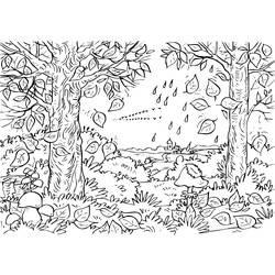 Coloring page: Forest (Nature) #157074 - Free Printable Coloring Pages