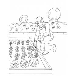 Coloring page: Garden (Nature) #166357 - Printable coloring pages