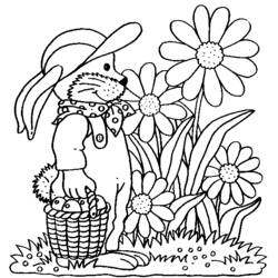 Coloring page: Garden (Nature) #166369 - Printable coloring pages