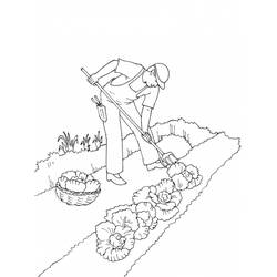 Coloring page: Garden (Nature) #166453 - Printable coloring pages