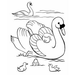 Coloring page: Lake (Nature) #166089 - Printable coloring pages