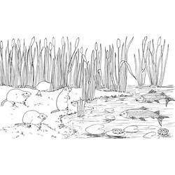 Coloring page: Lake (Nature) #166123 - Printable coloring pages