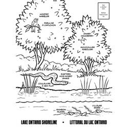 Coloring page: Lake (Nature) #166147 - Free Printable Coloring Pages