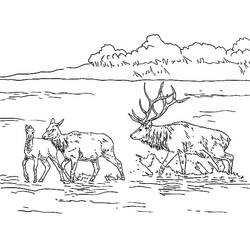Coloring page: Lake (Nature) #166158 - Printable coloring pages