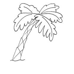Coloring page: Palm tree (Nature) #161116 - Printable coloring pages