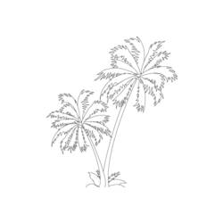 Coloring page: Palm tree (Nature) #161122 - Printable coloring pages