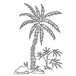 Coloring page: Palm tree (Nature) #161123 - Printable coloring pages