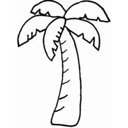 Coloring page: Palm tree (Nature) #161127 - Printable coloring pages