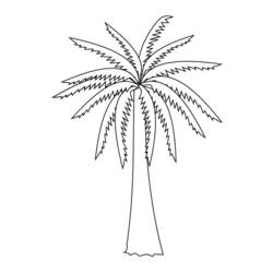 Coloring page: Palm tree (Nature) #161137 - Printable coloring pages