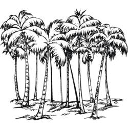 Coloring page: Palm tree (Nature) #161177 - Printable coloring pages