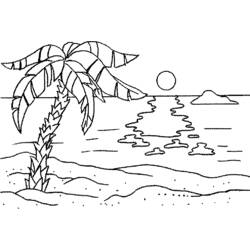 Coloring page: Palm tree (Nature) #161210 - Printable coloring pages