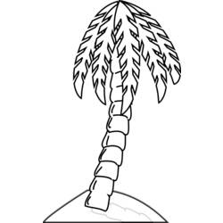 Coloring page: Palm tree (Nature) #161263 - Printable coloring pages