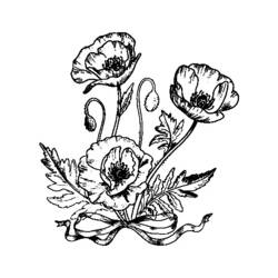 Coloring page: Poppy (Nature) #162442 - Free Printable Coloring Pages