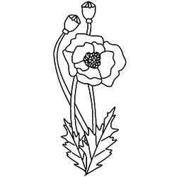 Coloring page: Poppy (Nature) #162463 - Printable coloring pages