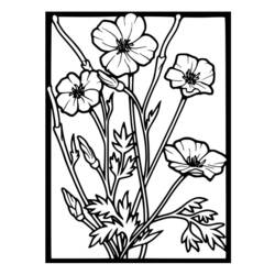 Coloring page: Poppy (Nature) #162470 - Printable coloring pages
