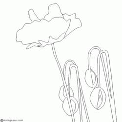 Coloring page: Poppy (Nature) #162472 - Free Printable Coloring Pages