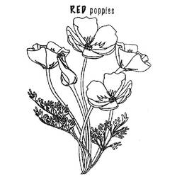 Coloring page: Poppy (Nature) #162492 - Free Printable Coloring Pages