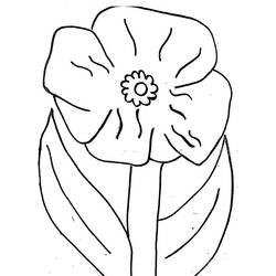 Coloring page: Poppy (Nature) #162503 - Free Printable Coloring Pages
