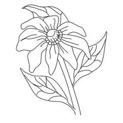 Coloring page: Poppy (Nature) #162550 - Free Printable Coloring Pages