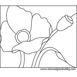 Coloring page: Poppy (Nature) #162555 - Free Printable Coloring Pages