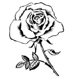 Coloring page: Roses (Nature) #161863 - Printable coloring pages