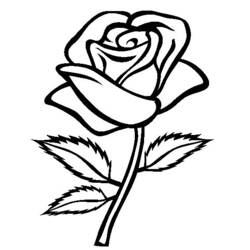 Coloring page: Roses (Nature) #161865 - Printable coloring pages