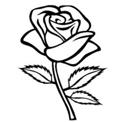 Coloring page: Roses (Nature) #161866 - Printable coloring pages