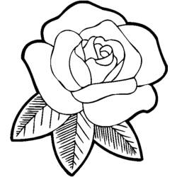 Coloring page: Roses (Nature) #161871 - Printable coloring pages
