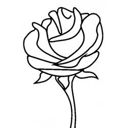Coloring page: Roses (Nature) #161876 - Free Printable Coloring Pages