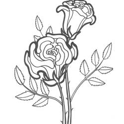 Coloring page: Roses (Nature) #161879 - Free Printable Coloring Pages