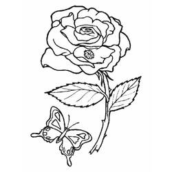 Coloring page: Roses (Nature) #161885 - Printable coloring pages