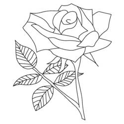 Coloring page: Roses (Nature) #161894 - Free Printable Coloring Pages
