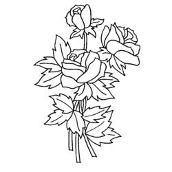 Coloring page: Roses (Nature) #161895 - Printable coloring pages