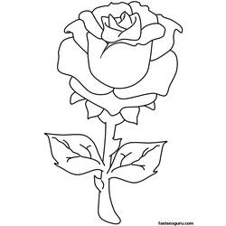 Coloring page: Roses (Nature) #161897 - Printable coloring pages
