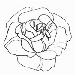 Coloring page: Roses (Nature) #161898 - Free Printable Coloring Pages