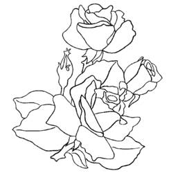 Coloring page: Roses (Nature) #161908 - Free Printable Coloring Pages