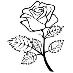 Coloring page: Roses (Nature) #161909 - Printable coloring pages