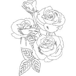 Coloring page: Roses (Nature) #161910 - Free Printable Coloring Pages