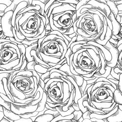 Coloring page: Roses (Nature) #161911 - Printable coloring pages